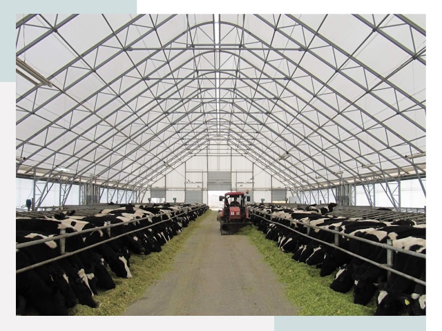 Тентовые коровники в Холмске от 616 руб. - Надежно и доступно